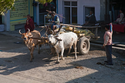 ossenkar